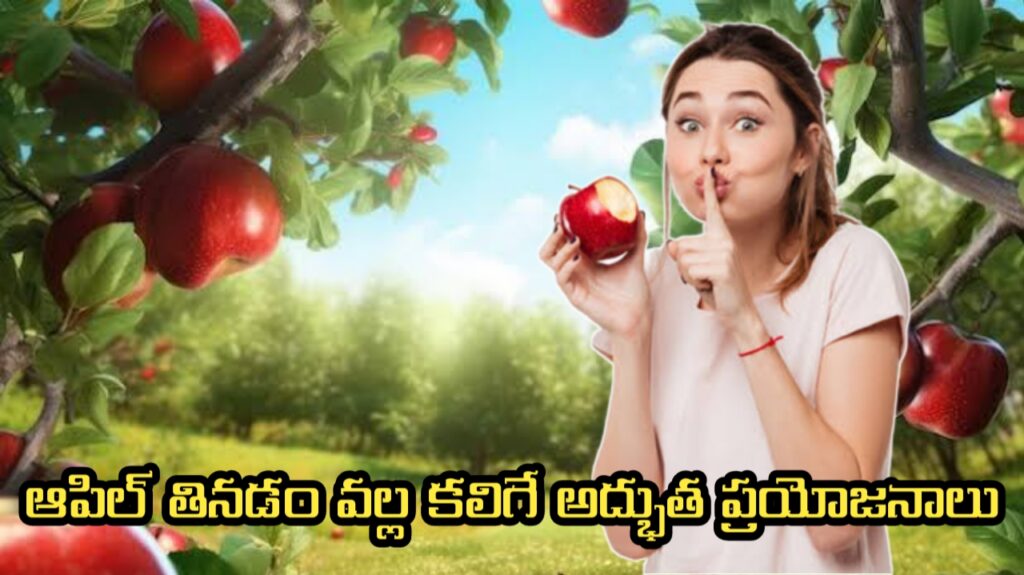  Apple health benefits in Telugu